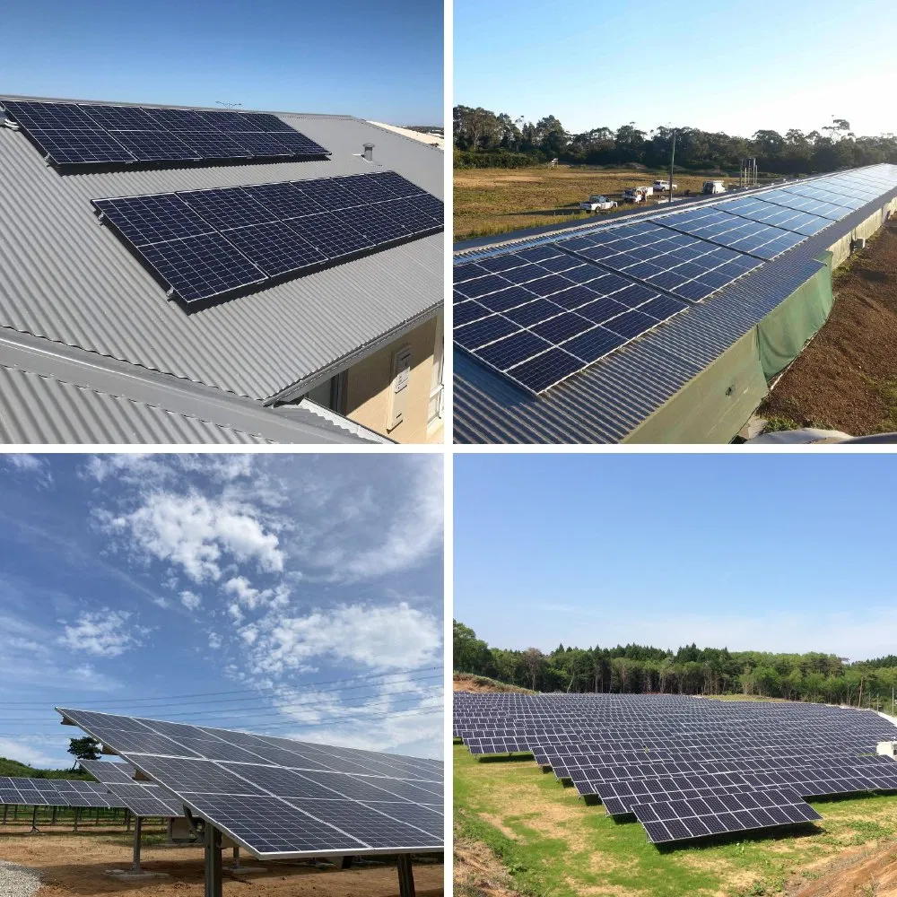 Sunevo N Type Mono Solar Panel Battery Storage 700W 710W 750W 755W 770W Residential Solar Panel Installation
