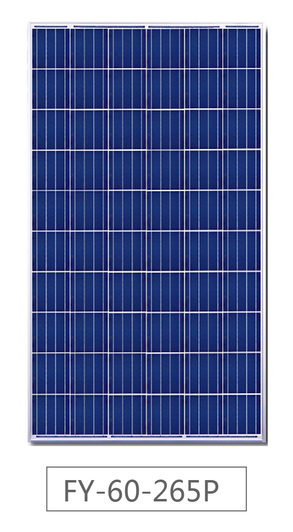 Polycrystallin Poly Solar Panel 260w 280w 300 Watt Panel Best Price Solar Panels