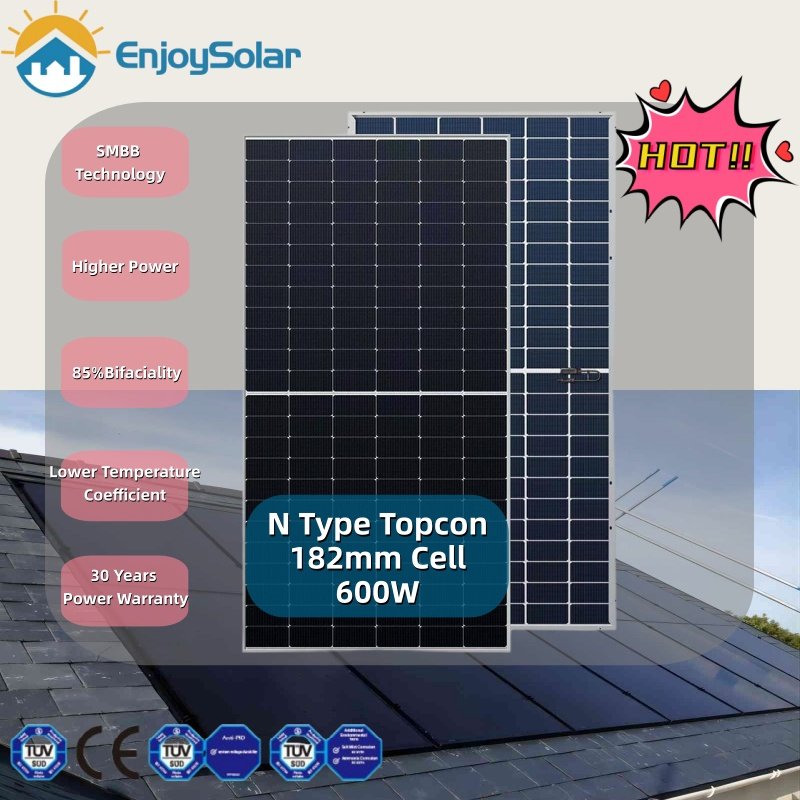 Solar Panel Price N Type Solar Cell 590W 600W 610W 620W Double Glass Bifacial Module Price for Ground Mounted Solar Plant