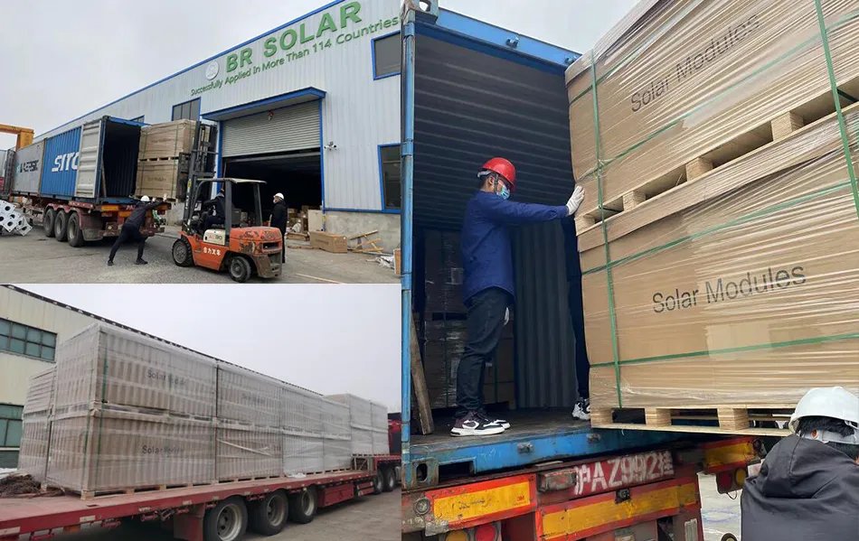 Loading Solar Modules into Container for Export