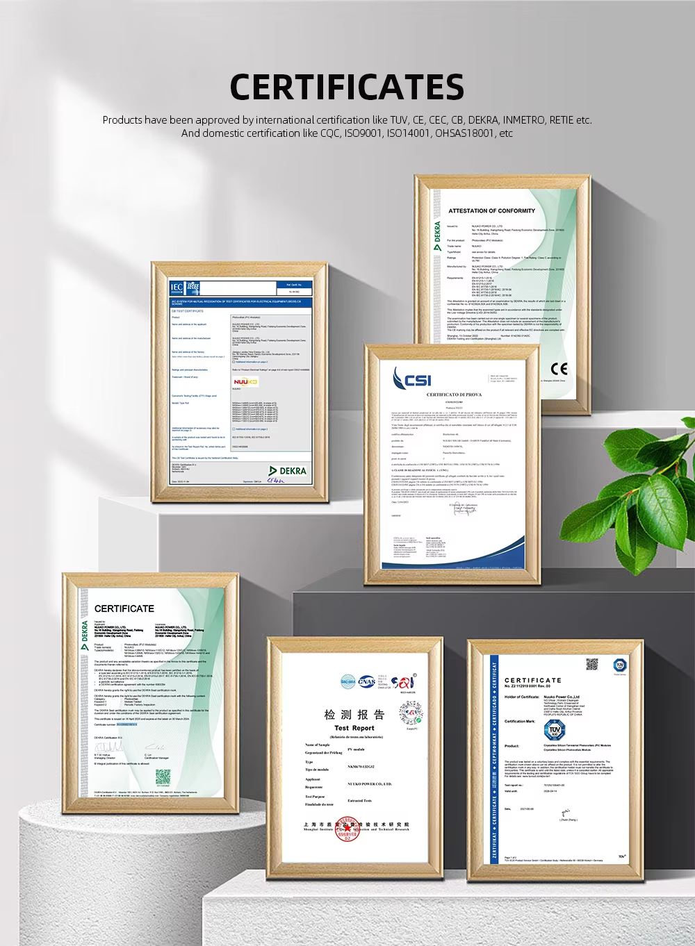 Global Certificates Overview