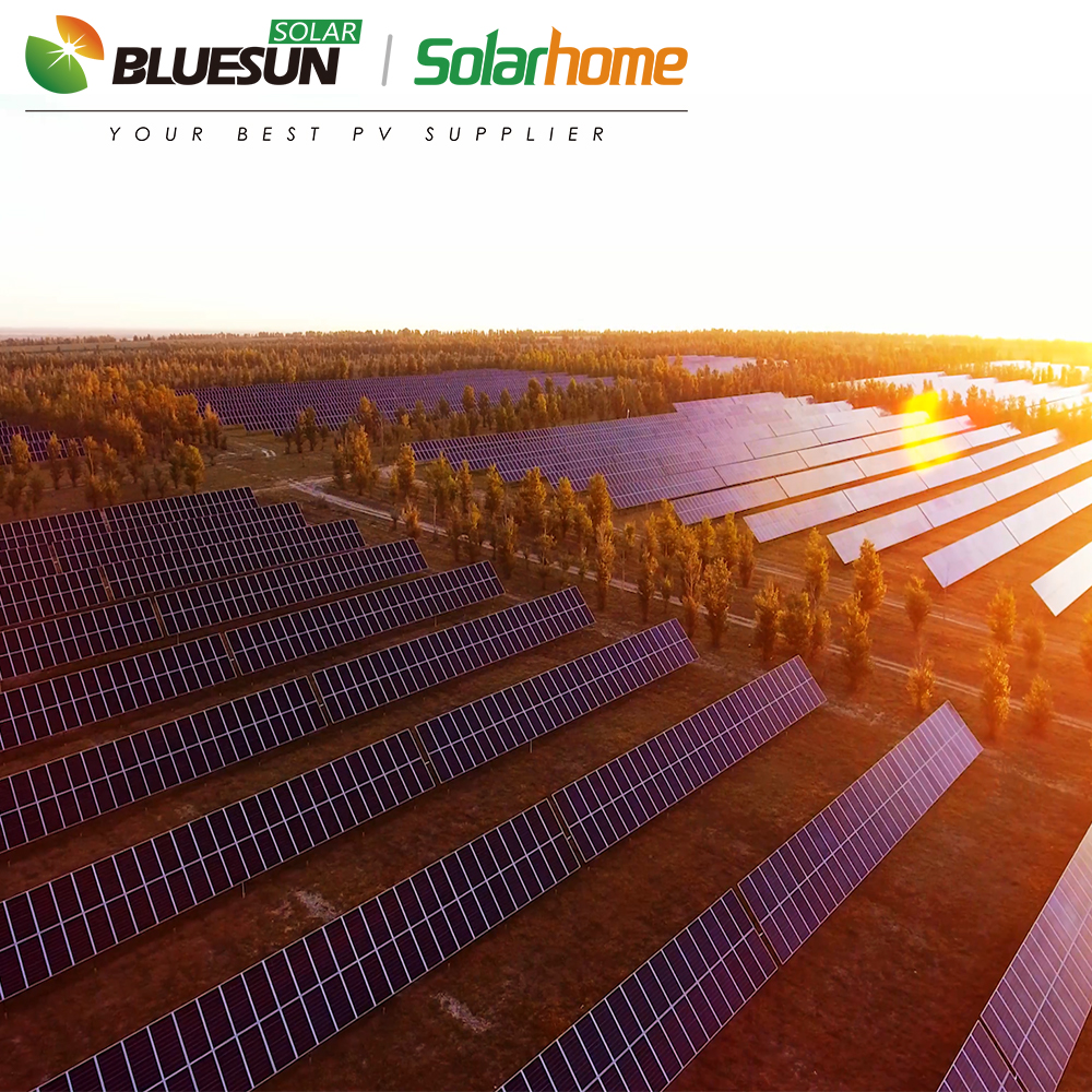 Bluesun 720Watt Shingled Bifacial Solar Module for Agriculture and Industrial Applications with Durable and Efficient Output