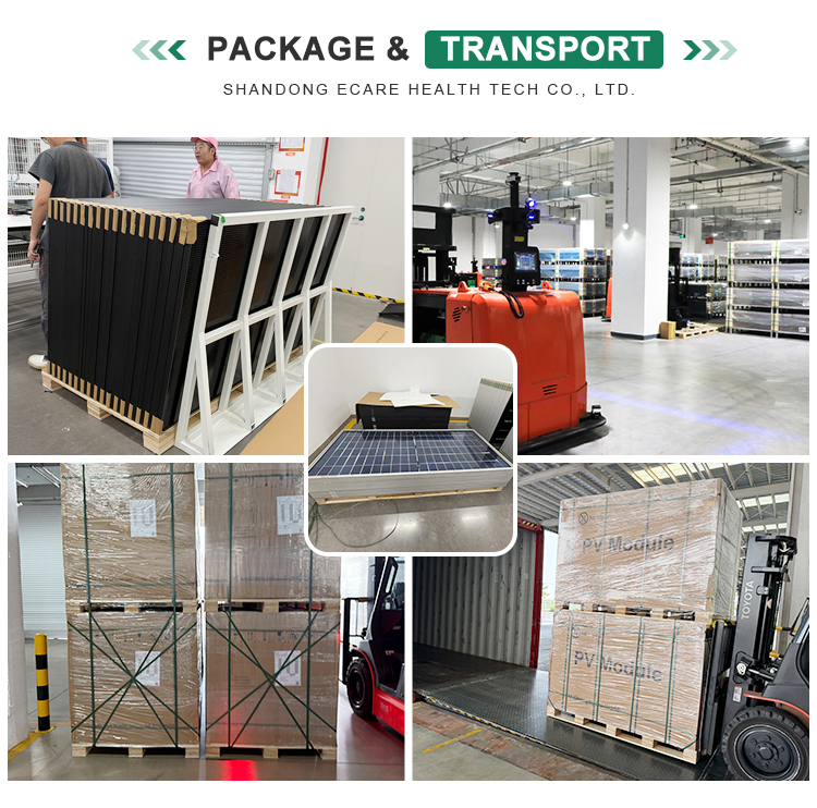 Packing and Shipping Logistics