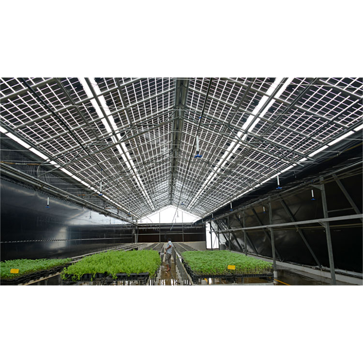 High Power OEM Transparent Solar Panels Bipv Solar Roof Integrated Panel Transparent Solar Shingles
