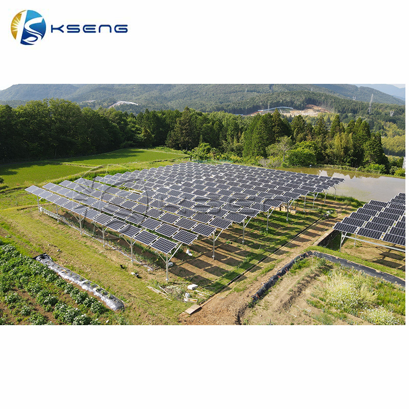 1 MW Solar Farm Agricultural System Solar PV Mounting System Solar Power Farm