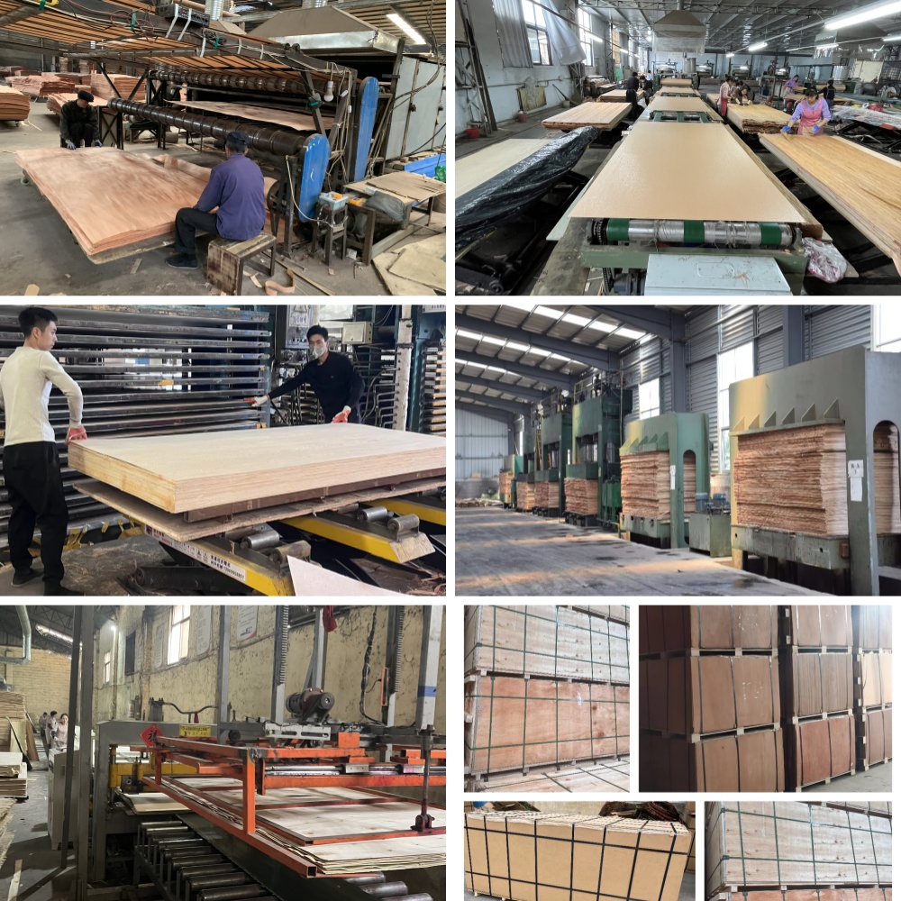 Warehouse Stock Ready for Shipment