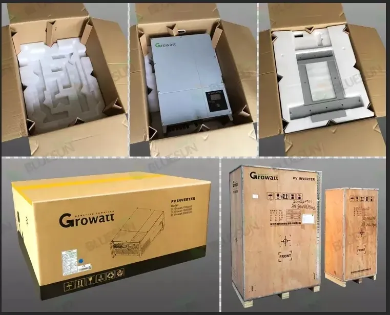 Packaging Detail 1