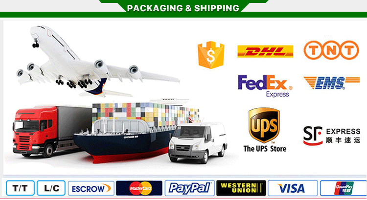 Secure Packing & Logistical Delivery Processes