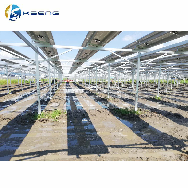 1 MW Solar Farm Agricultural System Solar PV Mounting System Solar Power Farm