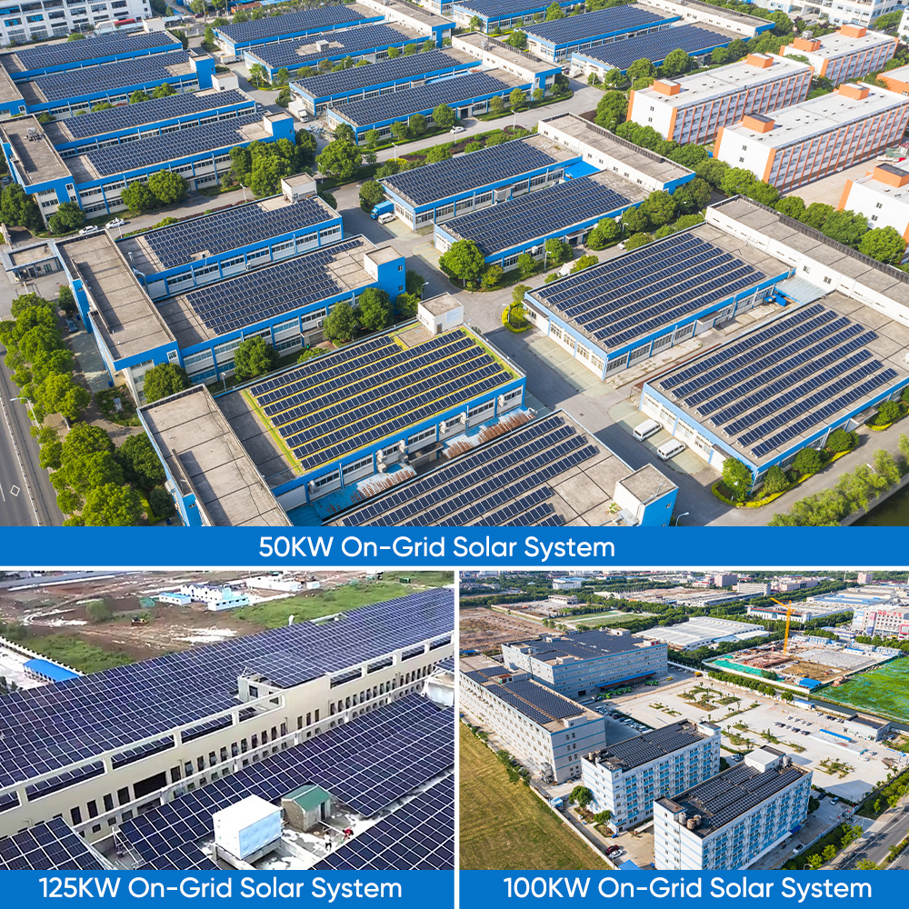 1MW Industrial Commercial On-Grid Solar System MPPT Controller N Type Topcon Bifacial Double Glass Solar Panels Ground Mounting