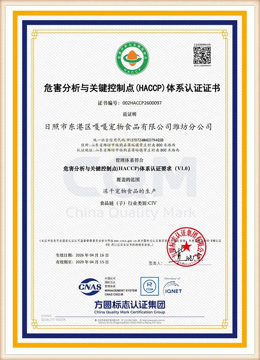 ISO 9001 Quality System Certificate