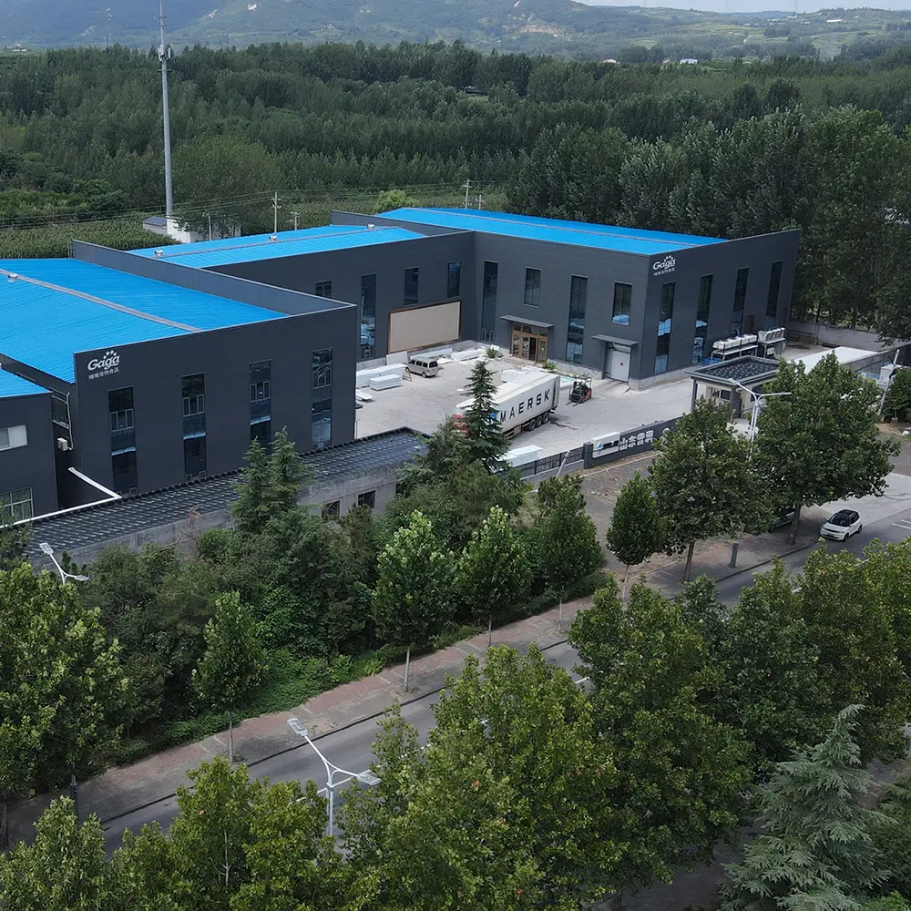 GAGA Pet Food Factory Overview