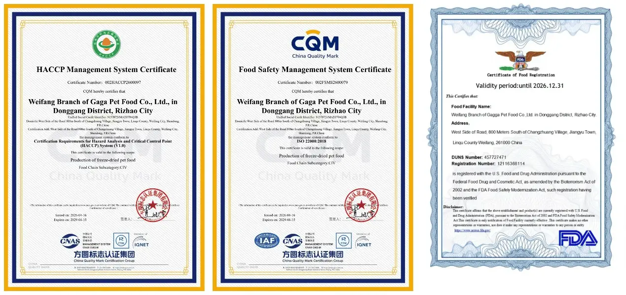 Authoritative Certificates