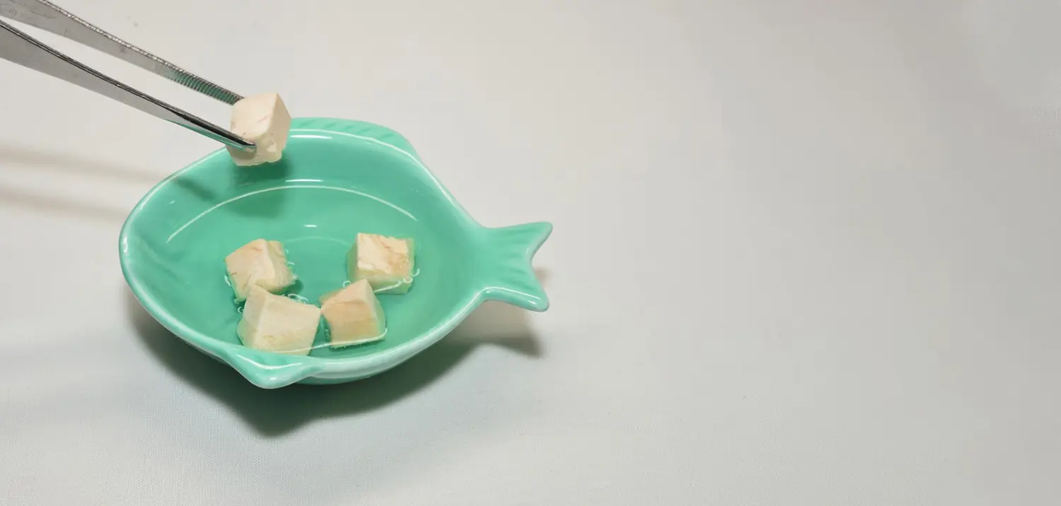 Freeze-dried Pet Food Rehydration and Digestibility
