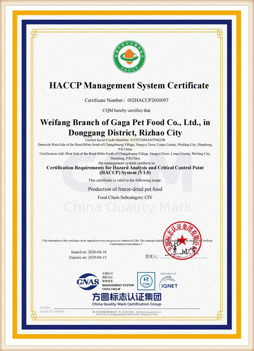 ISO Certificate