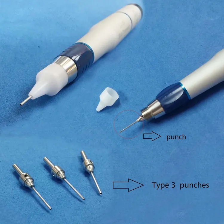 FUE Punch Detailed