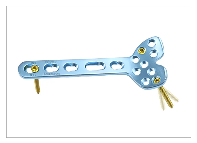Titanium Plate 2