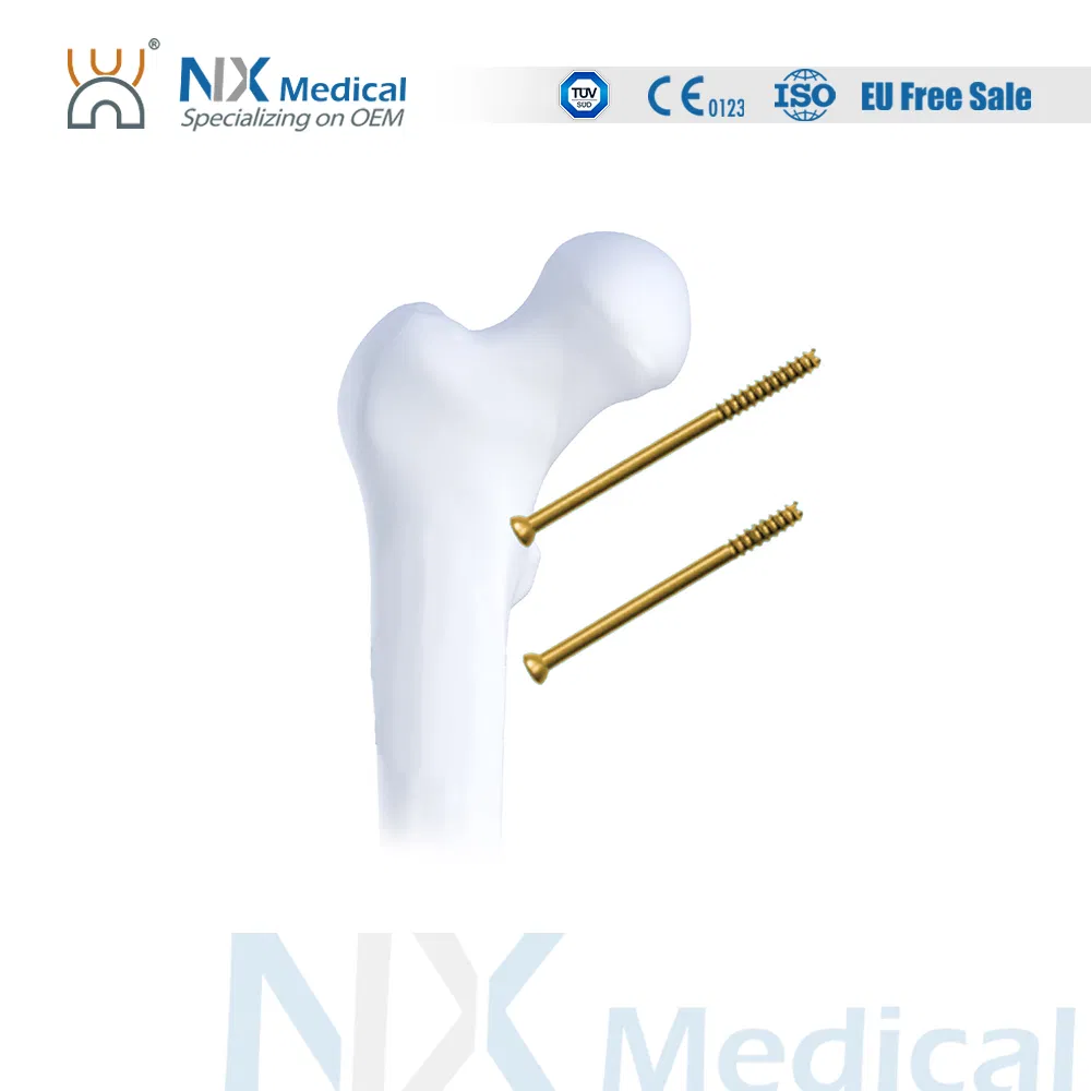 مادة طبية للصدمة العظمية φ4.5mm برغي مجوف سداسي جزئي الخيوط