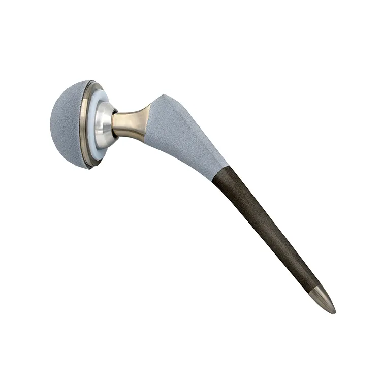 Titanium Hip Replacement 3