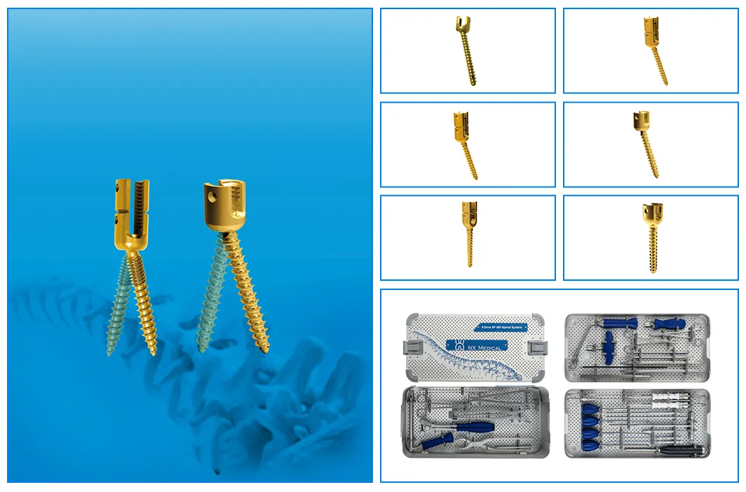 نظام برغي العمود الفقري لنظام زراعة العظام 6.0mm