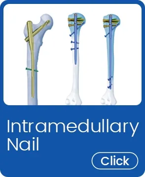 Catalog 2