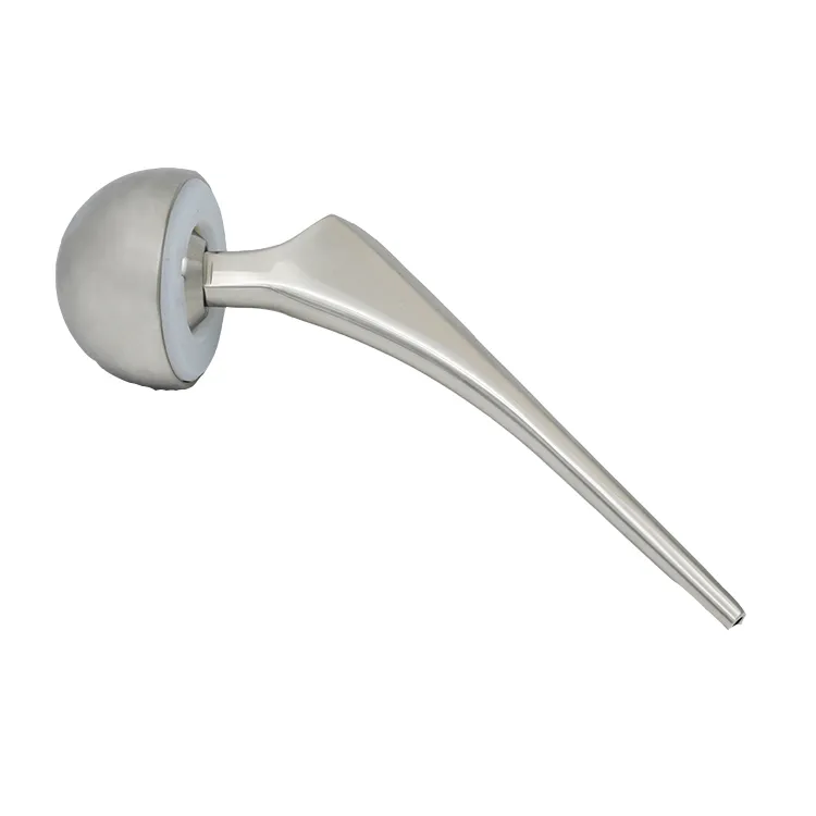 Titanium Hip Replacement 1
