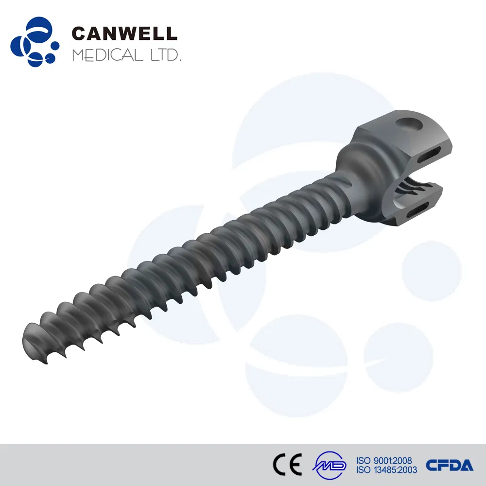 Spinal Screw 2