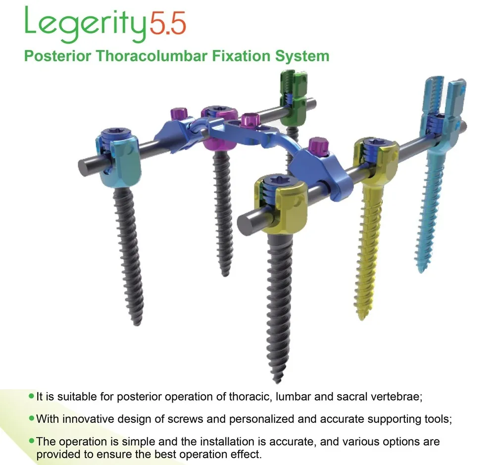 Spinal Fixation System