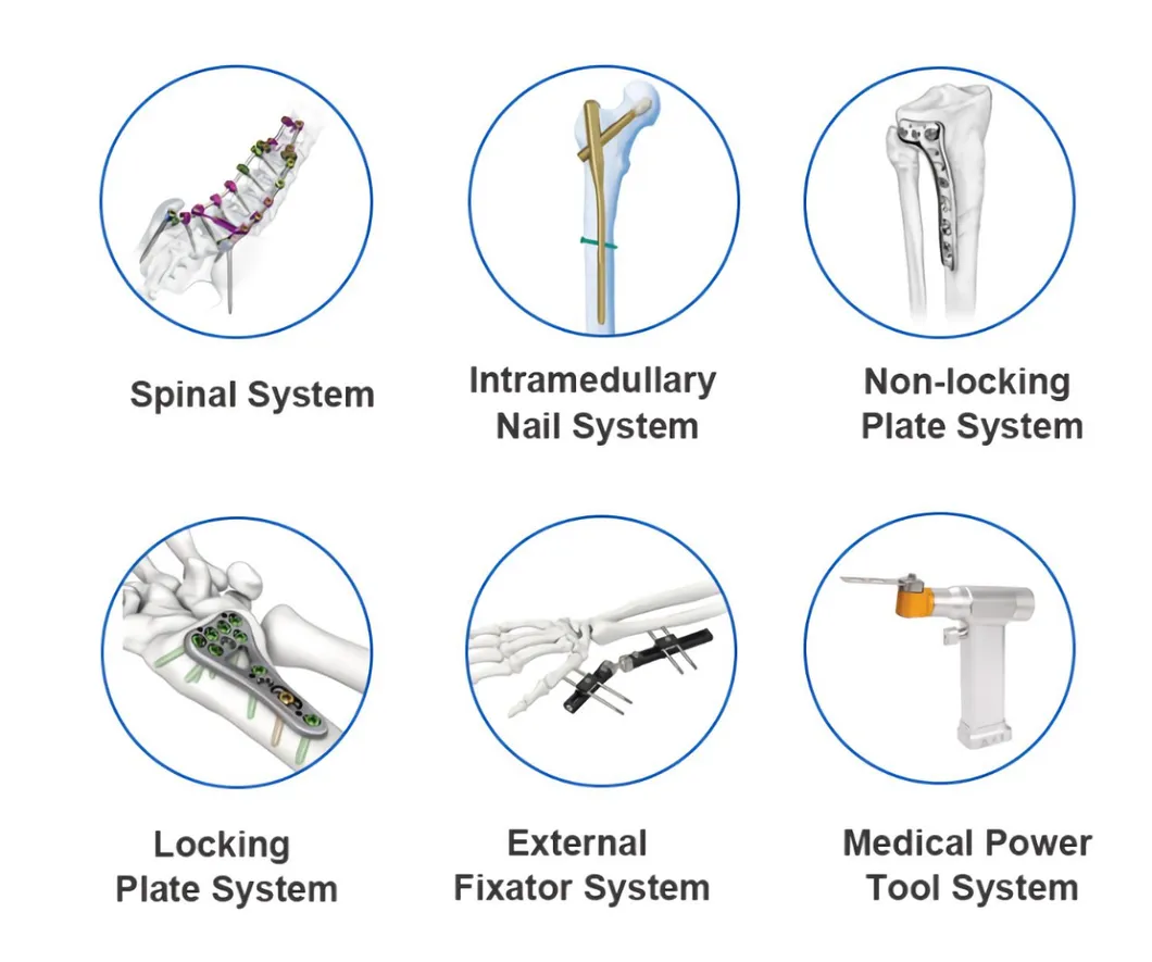 Orthopedic Screws