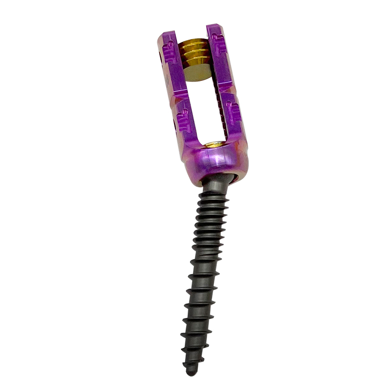 زراعة العظام في العمود الفقري براغي العمود الفقري 6.5mmx45cm إلى أمريكا الجنوبية
