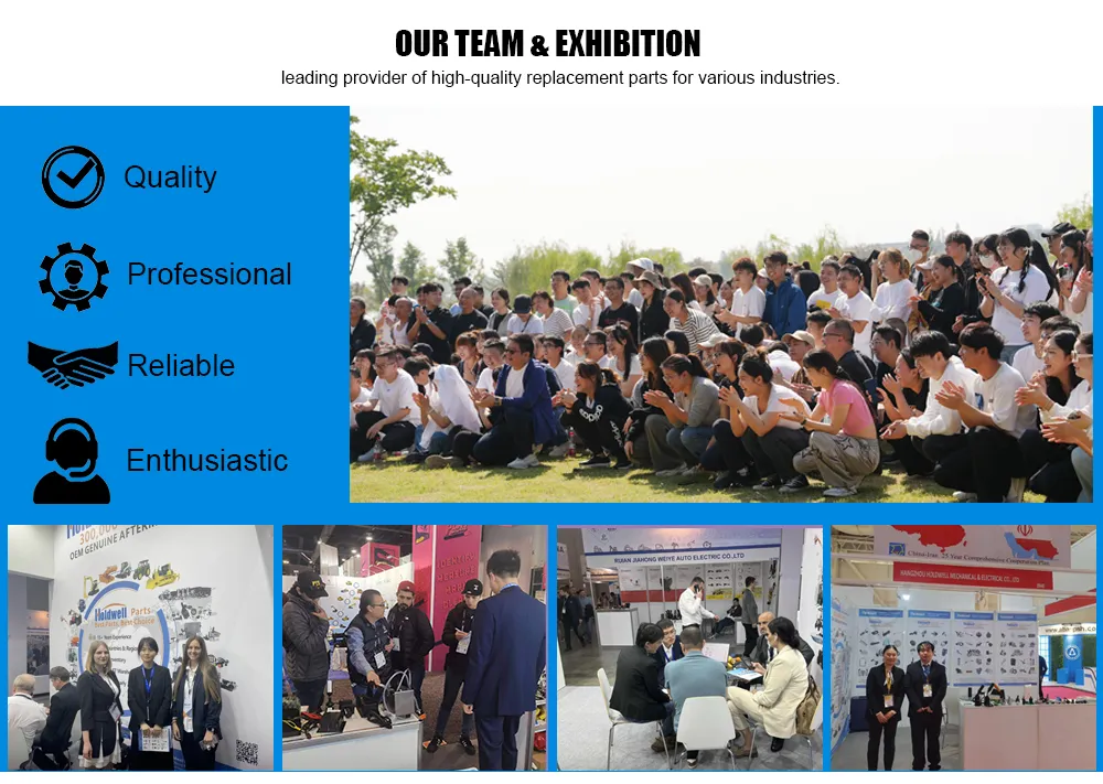 Our Team and Exhibition