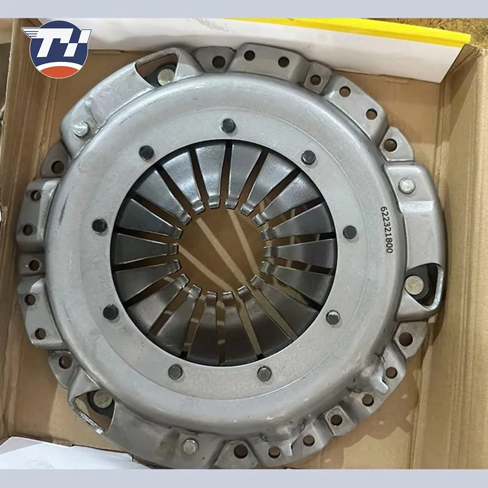 Rapid Response Customization 312100K070 5000055986 Automotive Parts Clutch Driven Disc