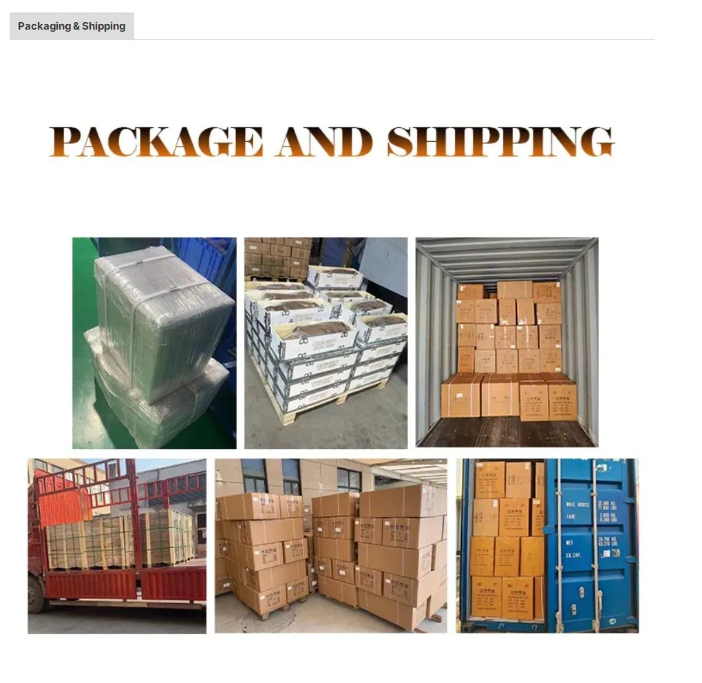 Clutch Disc Kit 30100-C6000