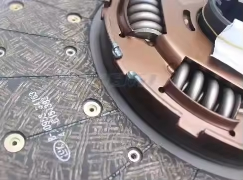 Clutch Pressure Plate, Clutch Disc Wg9921160800 for HOWO