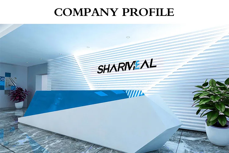 محطة رخيصة عالية السعة 600W شاحن بالطاقة الشمسية مع ضوء LED محمول
