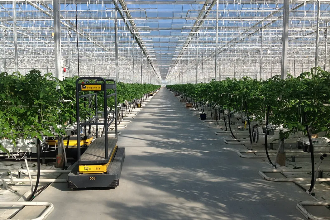 Greenhouse Structure