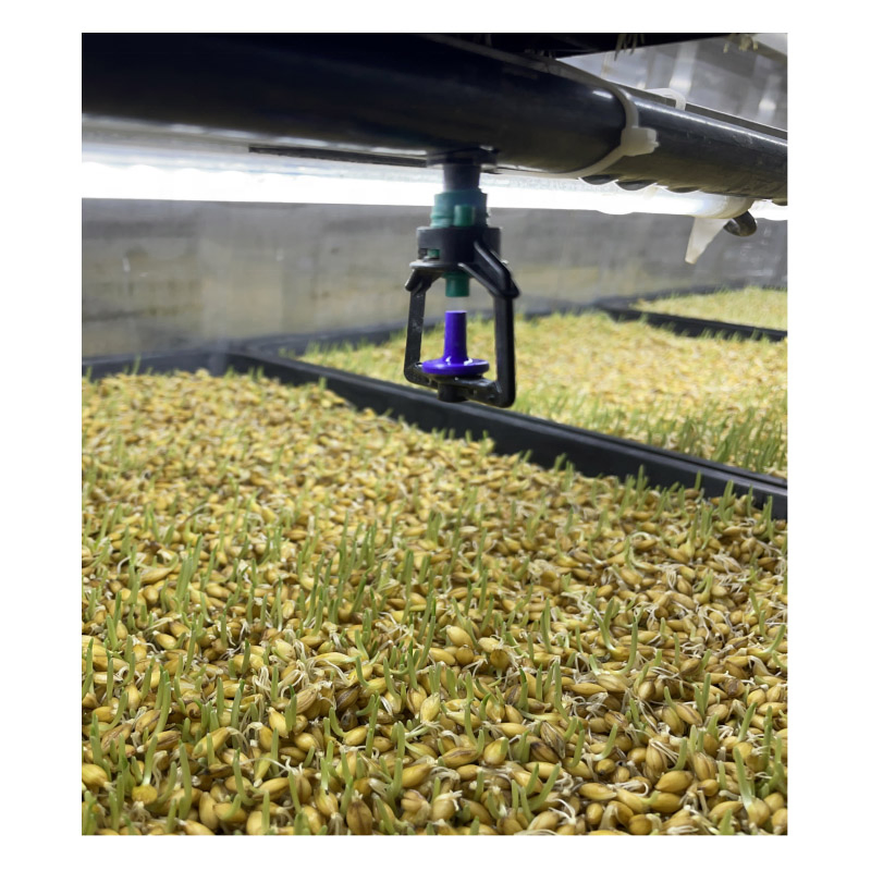 Agg 40 Hq Hydroponic Container Gardening Vertical Hydroponic Container Farm Integrated Cargo Aquaculture System Metal Direct Shipping Integrated Cargo