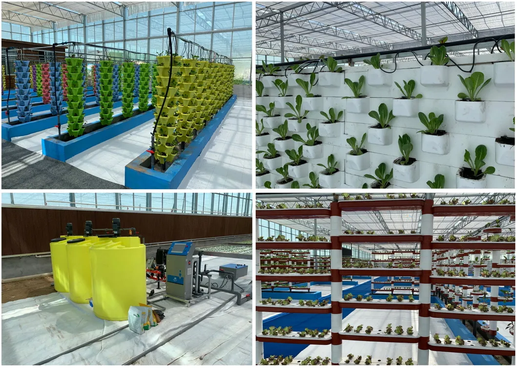 Hydroponic System
