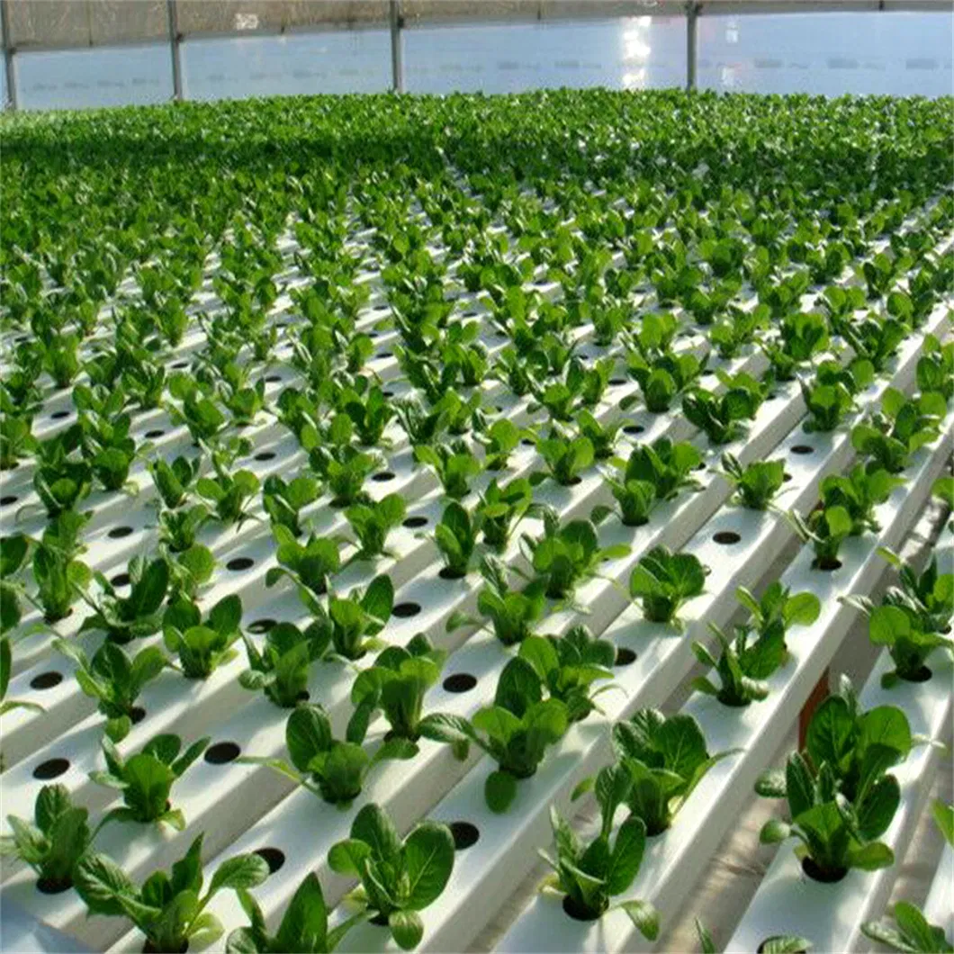 Hydroponic system installation