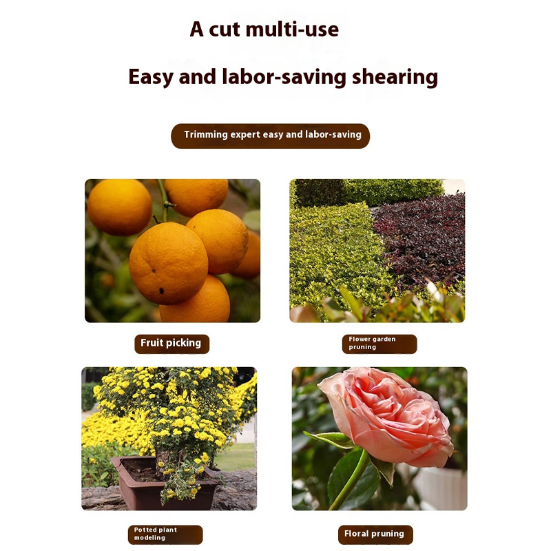 Stainless Steel Manual Pruning Shears Garden Scissor for Garden Orchard Fruit Picking Tree Trimming Floral Tools