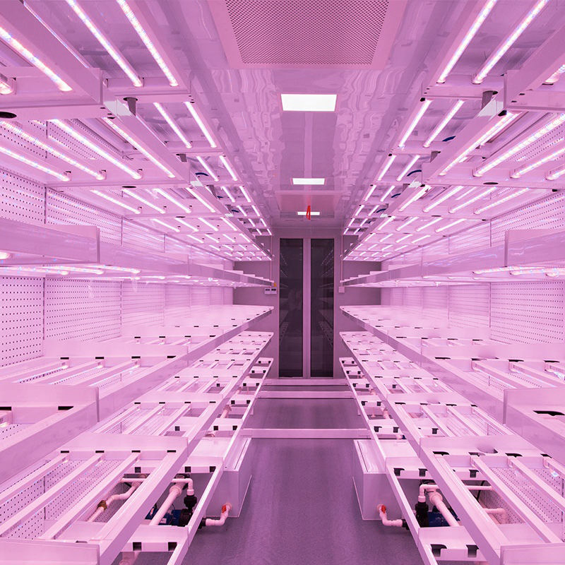 Agg Automatic Animal Fodder Sprout Container / Hydroponic Barley Growing System Planting Container for Growing Herbs, Flowers and Vegetables