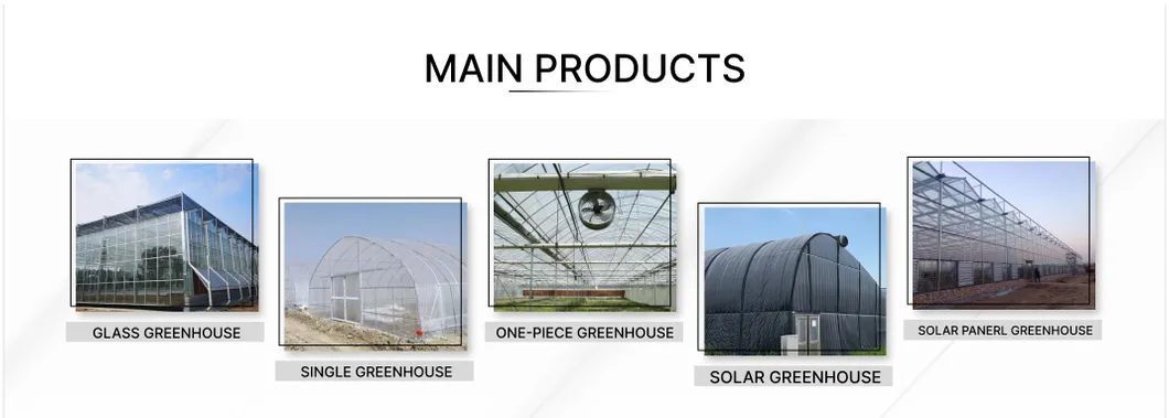 Main Products