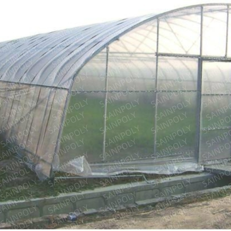 Mini Single Span Hydroponic Agricultural Tomato Film Tunnel Greenhouse Efficient Growth