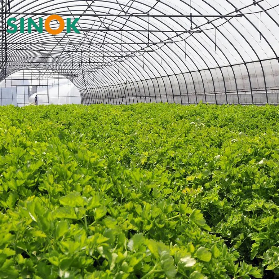Agricultural Multi-Span Arch Type UV Plastic PE Film Greenhouse for Vegetables/Fruit/Strawberry/Cucumber/Tomato/Lettuce/Eggplant with Hydroponic Growing System
