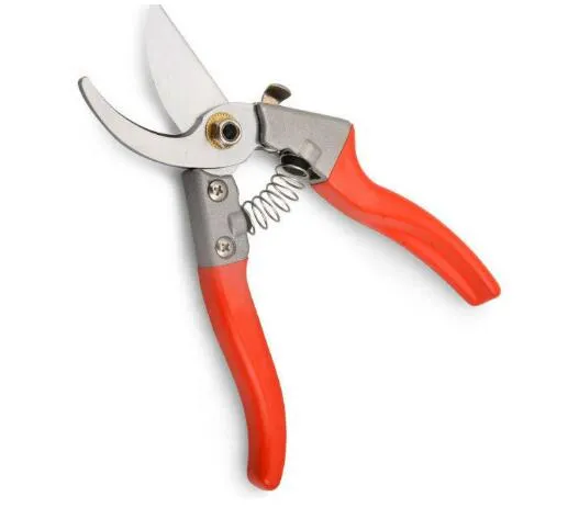 Pruning Tool 10