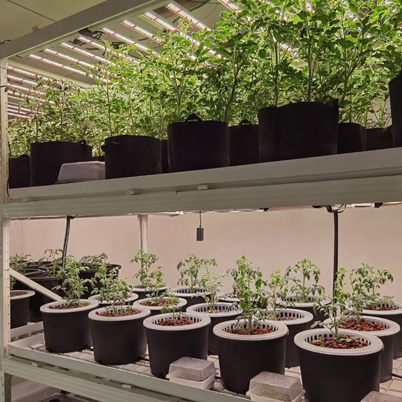 Agg Smart Farm Grow Hydroponic Vertical Farming System Greenhouse Container