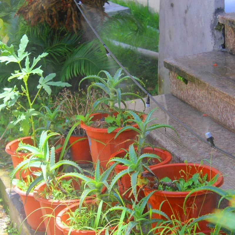 Greenhouse Garden Drip Irrigation System Drip Irrigation Kit PE Plastic Hose