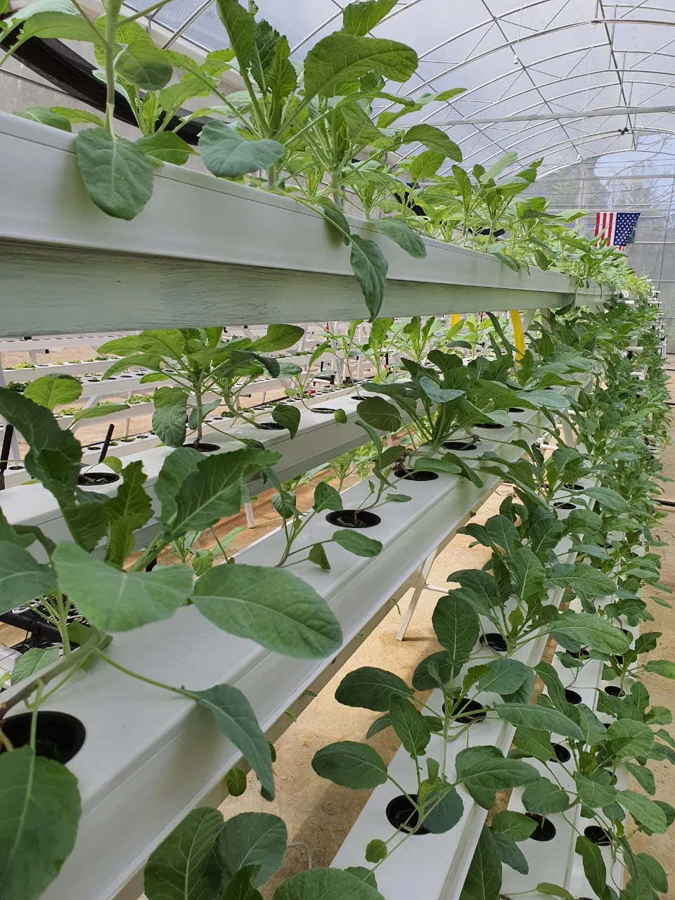 Garden Vertical Mini Hydroponic Grow Tower System