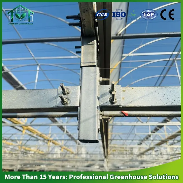 Greenhouse Display 3