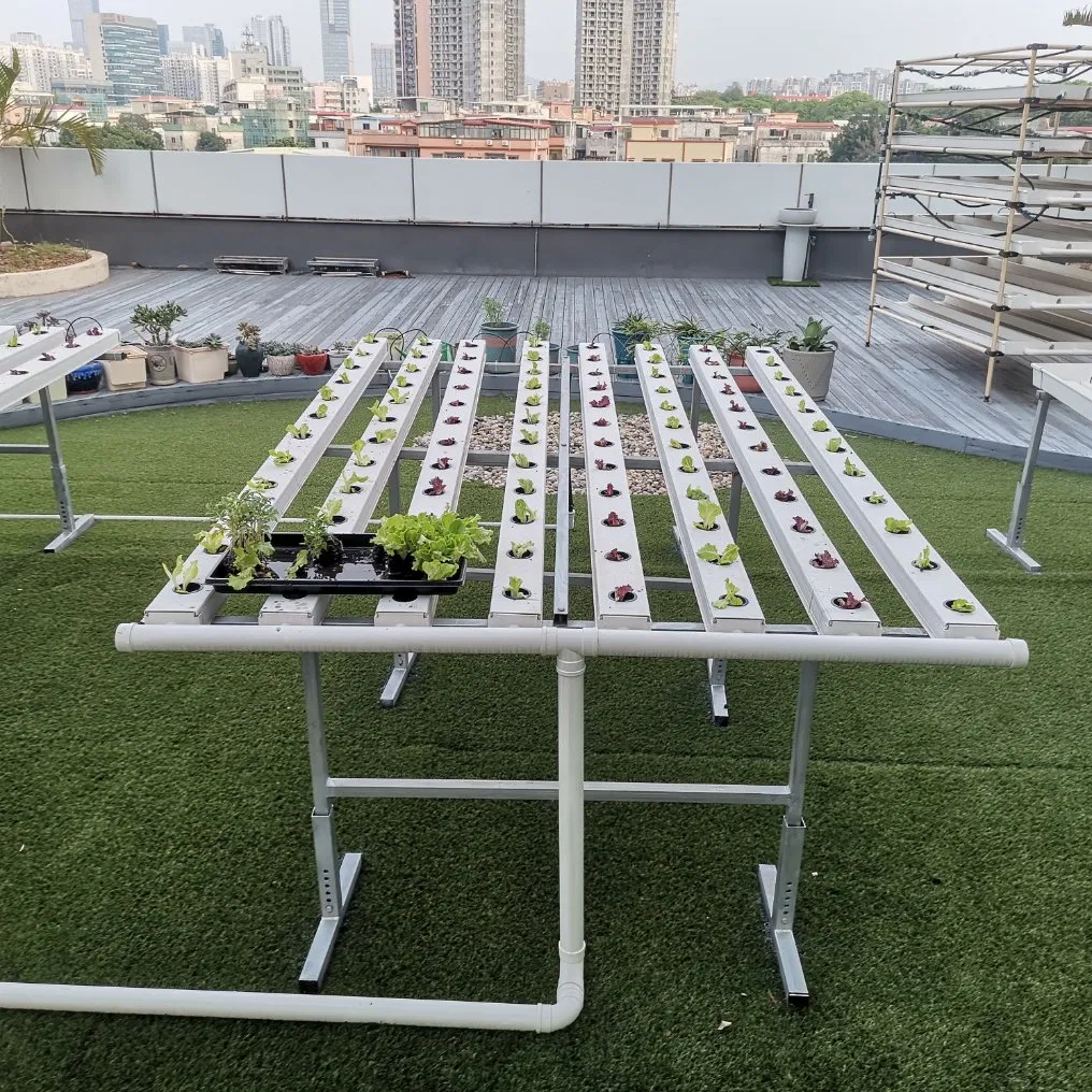 Indoor Hydroponic Gardening Vertical Farming Hydroponics System